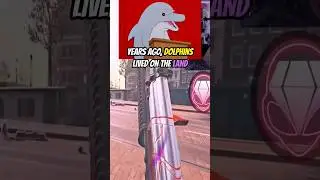 Land Dolphins?! 
