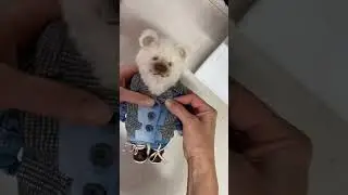 Мишка-Тедди