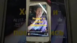 11 февраля 2022 г.