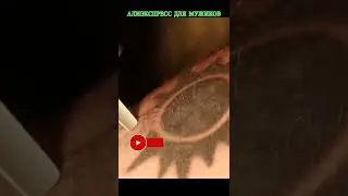 Лазер для удаления татуировок