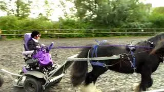 Eerste demo dressuur mennen met de Ibex. 13 okt 2019 Janine Romijn