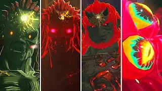 Zelda Tears of the Kingdom - All Ganondorf Boss Battle (HQ)