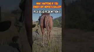 What Happens If You Shoot Off Horse's Balls? - RDR2 (V.1) | 