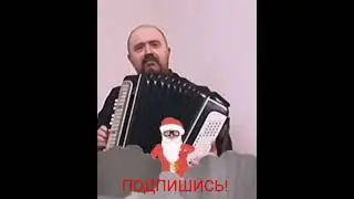 Сектор Газа  на баяне. Русский Рок на баяне. Баян. 