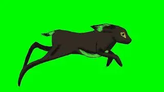 rabbit jumping On green screen chroma