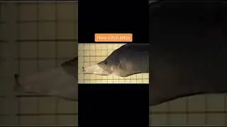 How things actually work!😱 