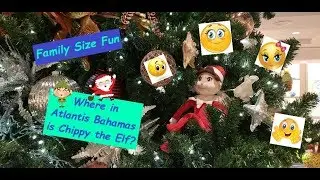 Where in Atlantis Bahamas is Chippy the Elf?