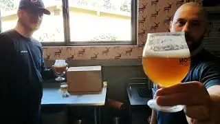 Pnw Ipa