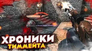 #4 CS:GO - Хроники Тиммейта 
