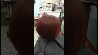hair cut+hair color #hairstylist #hairdresser #hairstyle