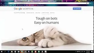 Google Recaptcha V2, Como insertarlo y usarlo?