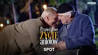 PRAWDZIWE ŻYCIE ANIOŁÓW | Film, po którym chce się żyć. | Kino Świat