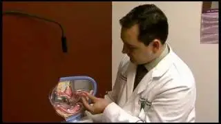 What can a young lady expect at her first GYN exam?
