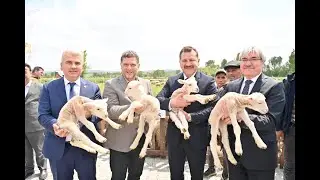 BALIKESIR HAYVANCILIĞIN EN İYISI OLMA YOLUNDA