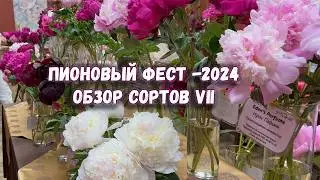 Пионовый фест -2024. Обзор сортов пионов 7