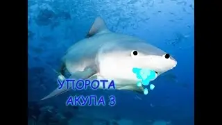 Упоратая акула 3!!! [roblox SharkBite]