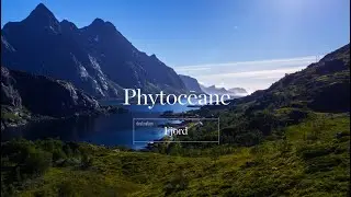 Destination FJORD - Soin Signature Visage