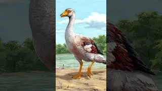Goose