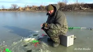 Первый лед , первый карась .  Сезон 2021 открыт .