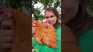 Наш телеграм: darindvor2