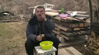 Выборы