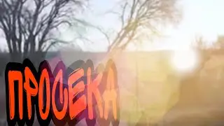 Просека (Видео 84)