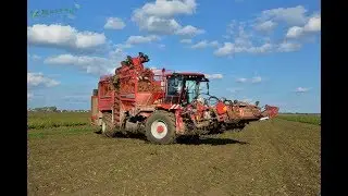 Repná Kampaň 2017 /  Beet Campaign 2017