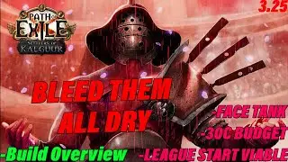 Face Tank/Melt EVERYTHING with the Budget Retaliation Gladiator - POE Settlers Build Overview