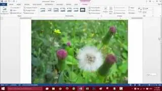 Create a PDF file from images using Microsoft Word