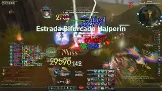 AIKA BR PVP | zLok PvP | SEJA RADIANTE