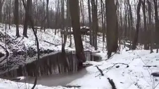 Winter Time at the Trail Cam Pond