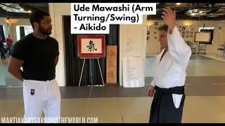 Ude Mawashi (Arm Swing) - Aikido