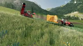 138° Puntata serie svizzera ignorante: Come (non) raccogliere la canna da zucchero