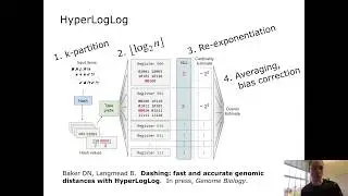 Dashing: fast & accurate genomic distances with HyperLogLog
