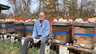 Quick Discussion on Fall Robbing Season.Easier to Deter Then to Combat After it has Already Started