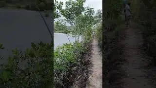 dahil brown out buong araw ito nanguha kami ng shells sa tabi ng dagat