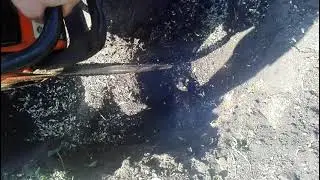 Опиловка корней пня
