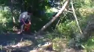 Пилим еще одно опасное дерево вблизи электролинии