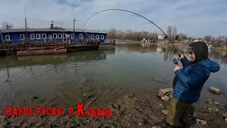 Старое русло Кубани со спиннингом.// Мелкий хищник в черте города Краснодара.