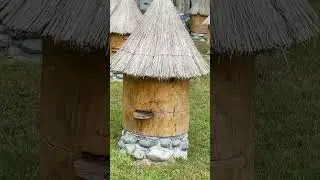 #абхазия дорога на озеро Рицца