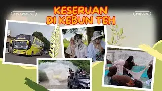 KESERUAN DI KEBUN TEH