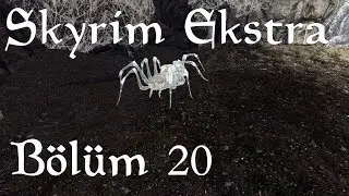 Skyrim Ekstra Görevler - Bölüm 20 - Albino Örümcekleri