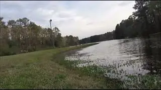 TOP WATER BITE LARGEMOUTH