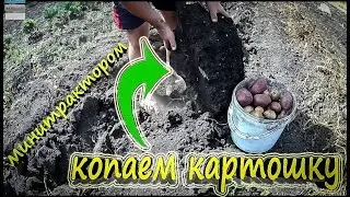 ❇Копка Картофеля Минитрактором☑