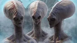 10 Criaturas Misteriosas Capturadas por Câmeras