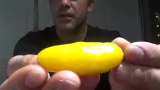 Chile Beast's Lost Chili Reviews Yellow Jalepeno Review