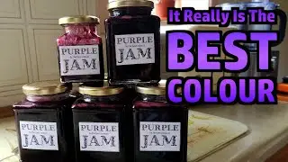 Making Purple Jam From Foraged Hedgerow Fruit