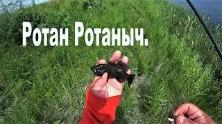 Ловля ротана . Кто победит ? Боковой кивок или поплавок ?