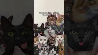 finally added another cat to my painting! 