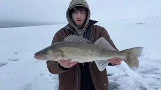 TOP 3 BIGGEST RED LAKE WALLEYES! - (compilation)